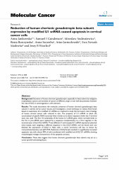 Reduction of human chorionic gonadotropin beta subunit expression by modified UI snRNA caused apoptosis in cervical cancer cells.